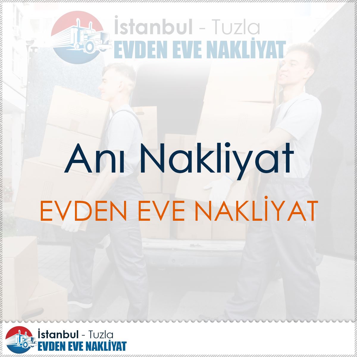Anı Nakliyat logo